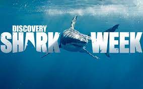 Poker shark week brings $5,000 in prizes! Discovery Channel S Shark Week Gets New Returning Sponsors 06 18 2021