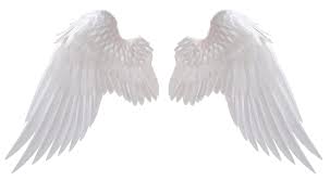 Angel Wings By Https Www Deviantart Com Hz Designs On Deviantart Angel Wings Png Wings Png Angel Wings Drawing
