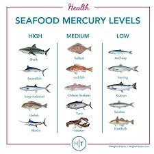 Guide To Eating Fish Choosing Healthy And Sustainable Options In 2020 Healthy Fish Fish Consumption Types Of Fish