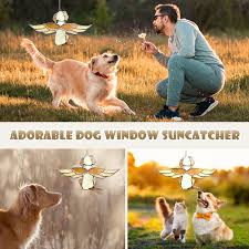 HMLAIKY Hund Rebe 11 : Amazon.de: Haustier