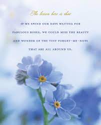 Forget sayings, and forget quotes, and sayings about forget from my collection of inspirational sayings and quotes about life. Pin On Inspirational Quotes