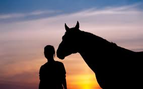 Finally my first dream horse :d comment below what do you think on my video !! How To Deal With Losing Your Horse Horse And Rider