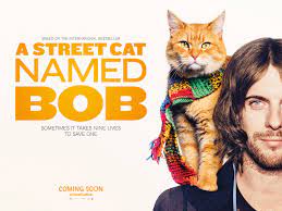A Street Cat Named Bob Movie Teaser Trailer