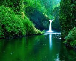 See more ideas about nature wallpaper, beautiful nature wallpaper, nature. Wallpaper Of Natural Posted By Sarah Walker