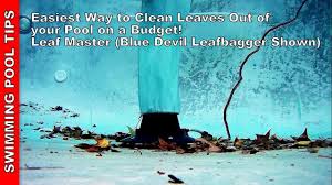 Above ground converted swimming pool. Easiest Way To Clean Leaves Out Of Your Pool On A Budget Using A Leaf Master Youtube