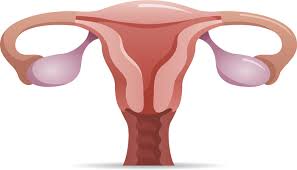 Pcos And Hysterectomy Is It A Cure Pcos Nutrition Center