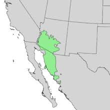 Some of these are in the nature of a stimulant, and some are more sedative in action. Saguaro Wikipedia