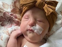 Fundraiser for Jessica Campbell by Savanna Quimby : Helping Magnolia Bloom