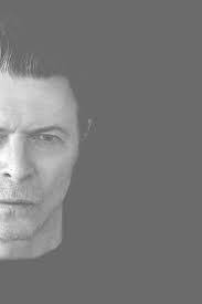 Sally Henrich's Instagram, Twitter & Facebook