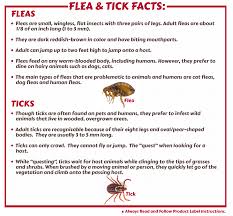 Fleas Ticks Control Strategies Products Maggie S Farm