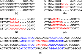 Dna mutations practice worksheet answer key students use both morphology and analysis of dna worksheets feature multiple choice. Evolutionary Directions Of Single Nucleotide Substitutions And Structural Mutations In The Chloroplast Genomes Of The Family Calycanthaceae Bmc Ecology And Evolution Full Text