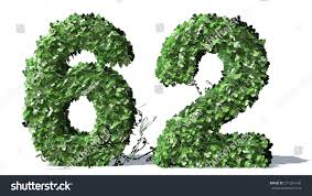 0 1 2 3 4 5 6 7 8 9. Number 65 Alphabet Green Ivy Leaves Stock Illustration 271261484
