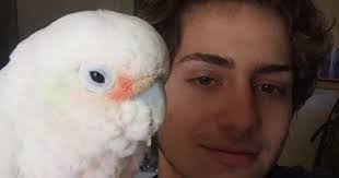 Meet Brady Lee: The UT freshman with a pet parrot
