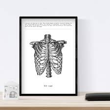 Human rib cage organs gallery from l.b5z.net it protects a person's internal organs from damage. Nacnic Poster Of Ribs Anatomy Of The Human Body Muscles And Bones Films With Human Body Parts 8x11 Size Amazon In Home Kitchen