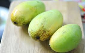 Pokok mangga harum manis malaysia online plant nursery Apa Bedanya Mangga Harum Manis Golek Indramayu Dan Manalagi