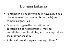 Three Domains Of Life Archea Have Classified Kingdoms Bacteria Do Not Yet On The Contrary Eukaryota Is Composed Of Well Defined Kingdoms Including Ppt Download