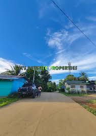 JL's New Life Properties added...