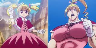 Hunter X Hunter: 10 Things You Didnt Know About Biscuits Backstory