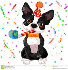 Black And White Boston Terrier Pictures Illustration About Illustration Of Cute Boston Terrier Celebrating Illustration Of Drawing Im Happy Birthday Funny Dog Boston Terrier Dog Boston Terrier Love