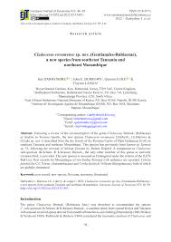 Image result for Memecylon rovumense