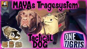 Der total verrückte survival mattin probiert und testet verschiedene survival mythen, überlebens tipps, techniken und ausrüstungsgegenstände auf seine art. Survival Mattin Sein Hund Testet One Tigris Hundegeschirr Tactical Dog Rucksackfurhunde Mayacam Youtube