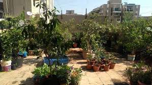 The sky garden rooftop terrace. Terrace Gardening Rooftop Gardening Information Agri Farming
