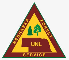 Argentinos juniors escudo / argentinos juniors presentó su nueva tercera camiseta. Escudo De Boca Juniors Hd Png Transparent Png Kindpng