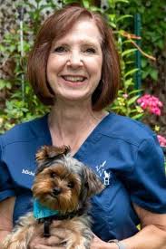 Our Veterinary Health Care Team in Canastota, NY