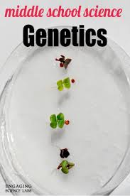 I Love This Activity For Collecting Data On Genetic Crosses The First One Is Pretty Simple You Middle School Science Experiments Genetics Biology Experiments