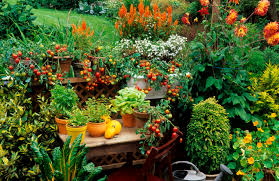 Here, we share with you best 27 small garden ideas uk ideasupdate a small garden with our small garden design ideas, featuring garden design tips, planting a. Garden Patio Ideas Kellogg Garden Organics