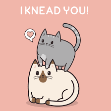 Find and save images from the cat valentine collection by ♀ (blackeys) on we heart it, your everyday app to get lost in what you see more about ariana grande, cat valentine and victorious. 14 Purrfect Puns For Your Pun Loving Valentine Meowingtons