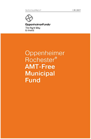Her birthday, what she did before fame, her family life, fun trivia facts, popularity rankings, and more. Oppenheimer Rochester Amt Free Municipal Fund