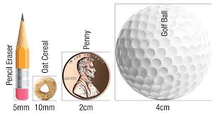 Image result for Nodule