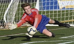 South Park boys soccer team can't derail Lewisburg's PIAA title charge