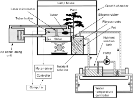We did not find results for: Schematic Diagram Of A Hydroponic System For On Line Measurement Of Download Scientific Diagram