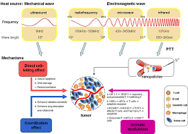 Image result for Local Heat Therapy