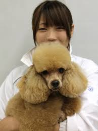 河原アイペットワールド専門学校