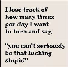 Never argue with stupid people, they will drag you down to their level and then beat you with experience. Quotes About Stupid People At Work Funny Quotes About Stupid Co Workers Stupid Coworkers Funny Dogtrainingobedienceschool Com