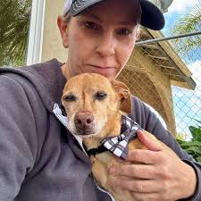 Let's help find Chino his forever family before Christmas!