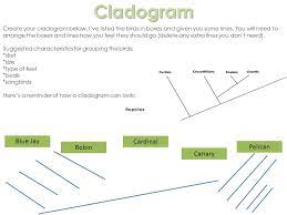 *diet *size *type of feet *beak *songbirds here's a reminder of how a cladogram can look: 06 01 Classification Of Living Organisms Or Unicellular Like Yeast Ppt Download