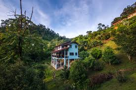 Serene retreat janda baik, taman melawati 18242 m from center from 2665 rub. Rest Pause Rainforest Retreat Villas For Rent In Bentong Pahang Malaysia