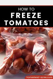Simply remove any remaining stems on your washed tomatoes and freeze them just like that! How To Freeze Tomatoes Without Blanching Homestead Acres