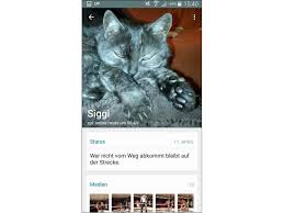 Whatsapp Status Spruche 77 Lustige Varianten So here's our guide to whatsapp status.