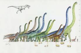 Largest Dinosaurs