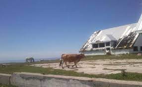 See more picon blanco photos. El Picon Blanco Nieve Vacas Y Bicis El Diario Montanes