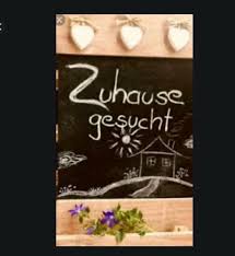 Anzeige drucken ⇐ zurück zur letzten seite ⇒ rubrik rüden (mischlinge) ⇒ rüden (mischlinge) in. 4 Zimmer Wohnung Zu Vermieten 23560 Schleswig Holstein Lubeck Mapio Net