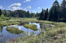 Paul Bunyan and Heartland Loop, Minnesota