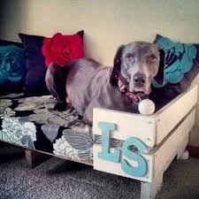 This pallet project is quite simple and even beginners can make this with recycled wooden pallets and few tools. 15 Diy Pallet Dog Bed Ideas Tutorials