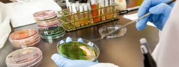 Wellness cosmetology alliance lab sdn bhd. Amcen Lab Sdn Bhd Home Facebook