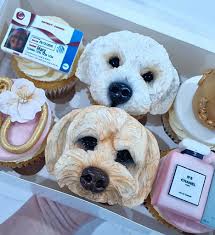 Was quite chuffed with myself. My effort making Jane's gingerbread  cheesecake for a family meal yesterday. The sides aren't as smooth as I'd  like, but it didn't try to escape when released